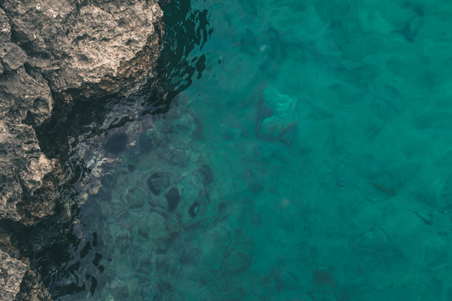 Our Seas Our Future pic
